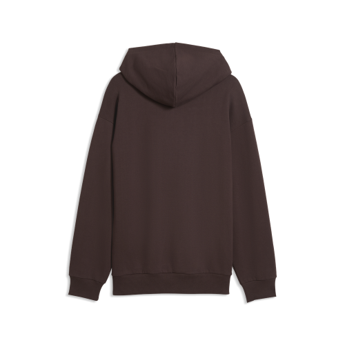 Puma FCSP Graphic Hoodie - chocolate brown