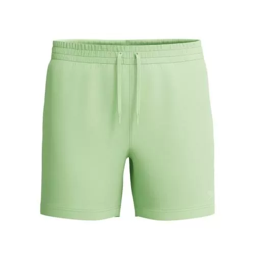 Speedo Essentials Watershort 16" Watershorts Male Adult - Pale Clover